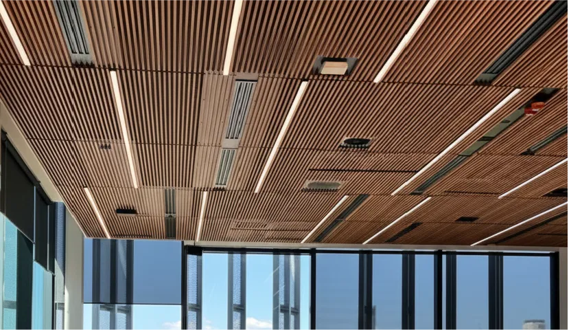 MetaSkin PI Soffit cellings